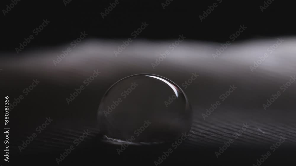 Drop of water on a bird feather, cold light, macro view Drop of water on a bird feather, cold light, macro view