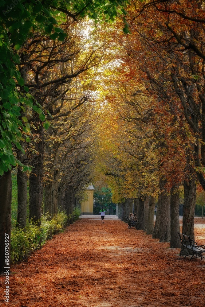 path in autumn park path in autumn park