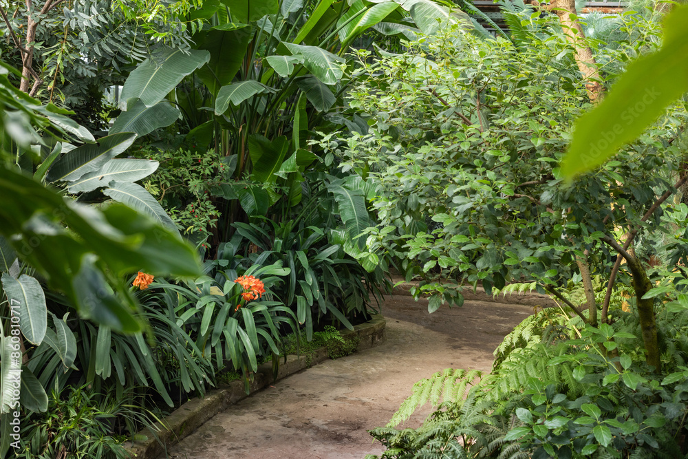 Tropical greenhouse, botanical garden, Tropical greenhouse, botanical garden,