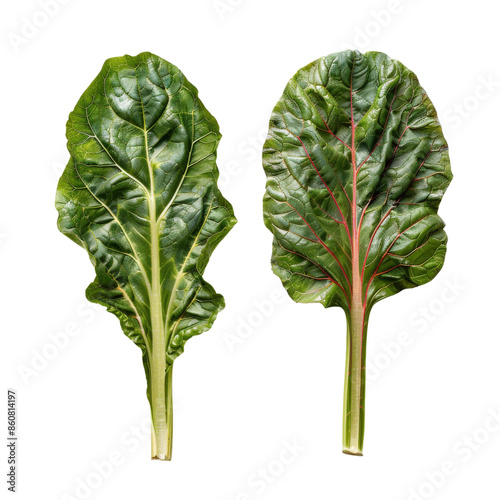 Two fresh chard leaves, crisp green with vibrant red and white stems, isolated on white background, perfect for healthy recipes and food decoration.