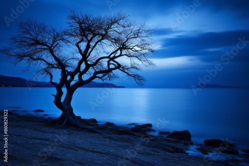 This image portrays a solitary tree at dusk, silhouetted against a peaceful lake with a serene, deep blue backdrop, reflecting stillness and isolation in nature.