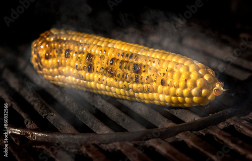 Yellow corn on the cob in sunlight cooking on a grill with char marks and smoke
