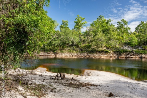 suwannee springs ruins photo