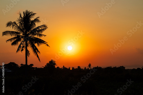 Orange sunrise with coconut tree silhouette
