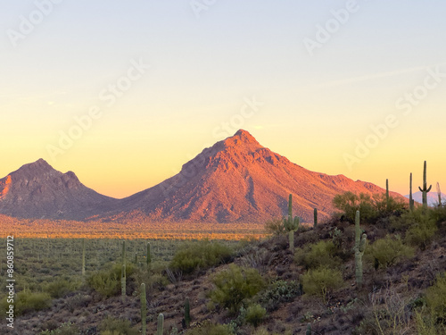 Stunning desert landscape at sunset featuring saguaro cacti and rugged mountains in Arizona, bathed in warm golden light, capturing the serene beauty and tranquility of the American Southwest.