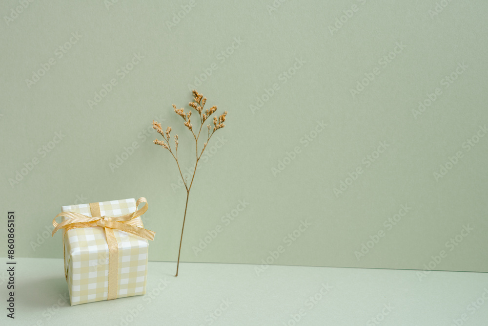 Ivory check pattern gift box and dry flower on mint green background