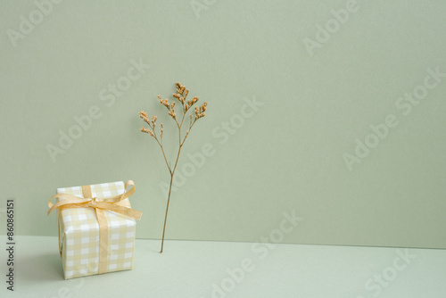 Obraz na płótnie Ivory check pattern gift box and dry flower on mint green background w salonie