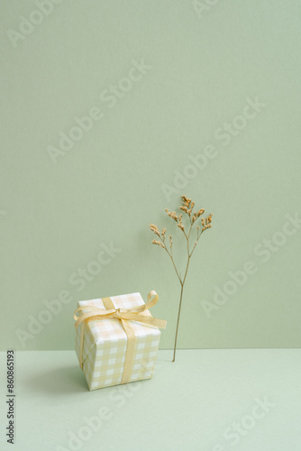 Obraz na płótnie Ivory check pattern gift box and dry flower on mint green background w salonie
