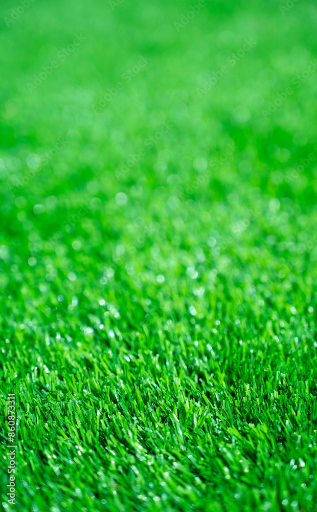 Fototapeta premium Green grass background, wallpaper