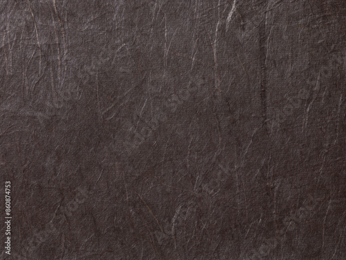 和紙　日本　黒　繊維