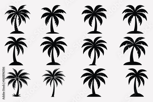 palm tree  line art silhouette vector palm, tree, vector, line, art, silhouette, drawing, clipart, icons, illustrations, graphics, outline, design 
