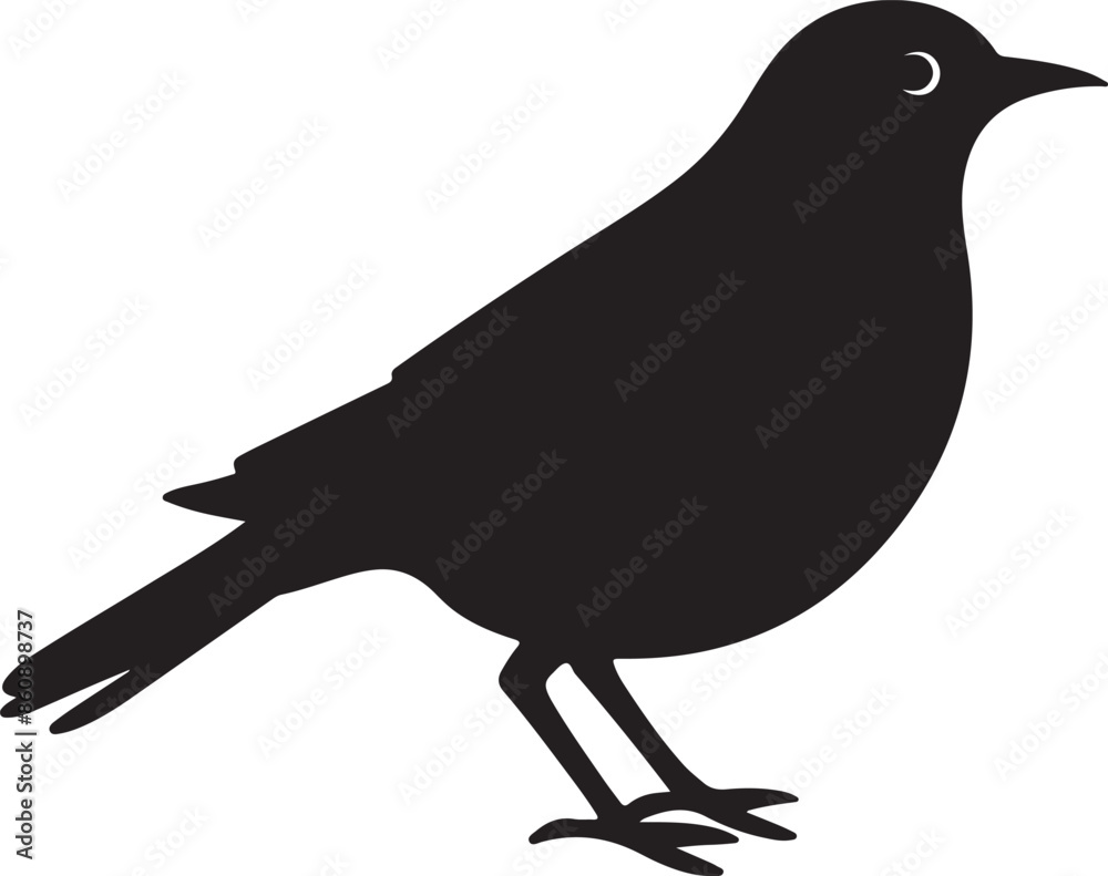 Cuckoo Silhouette Vector Illustration White Background Cuckoo Silhouette Vector Illustration White Background