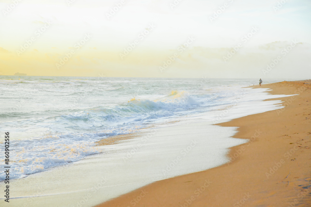 Nature of Florida. Miami background, sea vacation Nature of Florida. Miami background, sea vacation