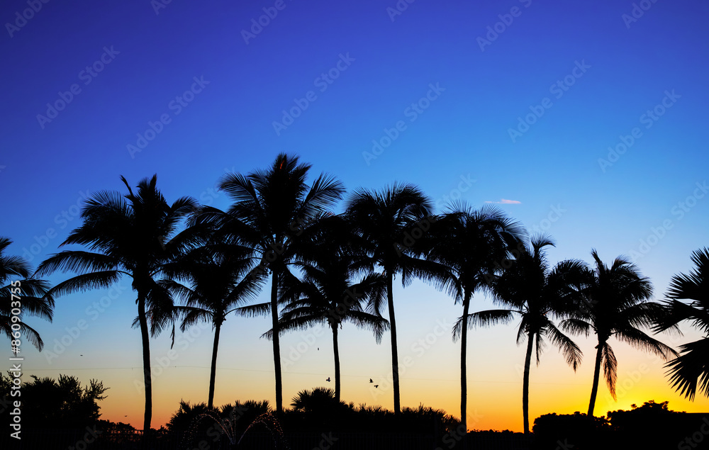 Obraz premium Nature of Florida. Miami background, sea vacation