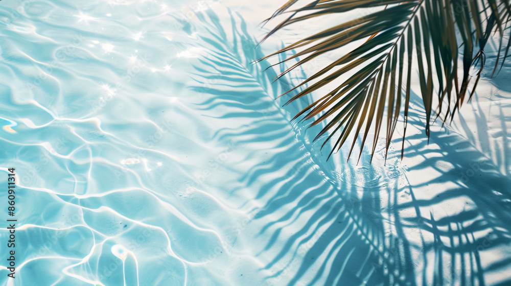 Abstract blue water with palm leaf shadow for summer, vacation, and tropical with copy space text Abstract blue water with palm leaf shadow for summer, vacation, and tropical with copy space text