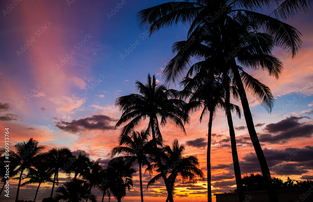 Fototapeta premium Beautiful beach. Sunrise, summer