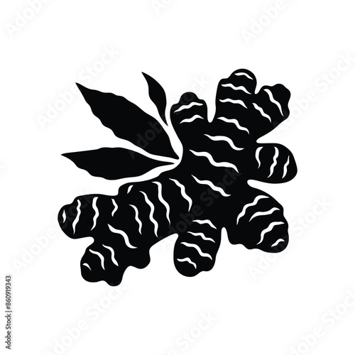 Black and White Ginger Illustration - High-Quality Vector Graphic for Culinary and Herbal Projects
