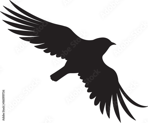 Nightjars Bird Silhouette Vector Illustration White Background