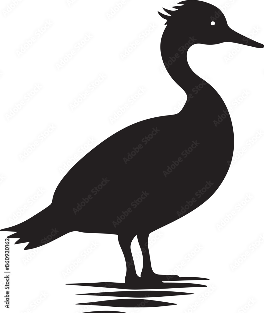 Grebes Bird Silhouette Vector Illustration White Background Grebes Bird Silhouette Vector Illustration White Background
