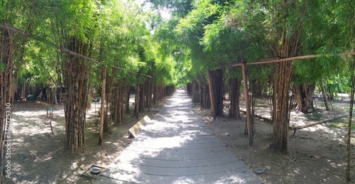 Footpath in the park at Wachirabenchathat Park (Rot Fai Park), BKK, Thailand. photo