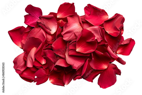 red rose petals isolated on transparent background