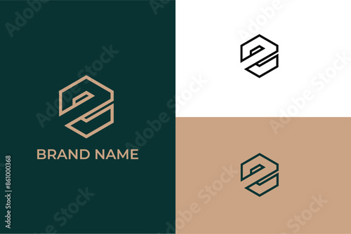 letter S Z lineart logo, letter S Z finance company logo, letter S Z shield arrow logo, Initial NS logo and SN logo. Letter S NZ ZN creative elegant Monogram,   for Business, Building and Technology