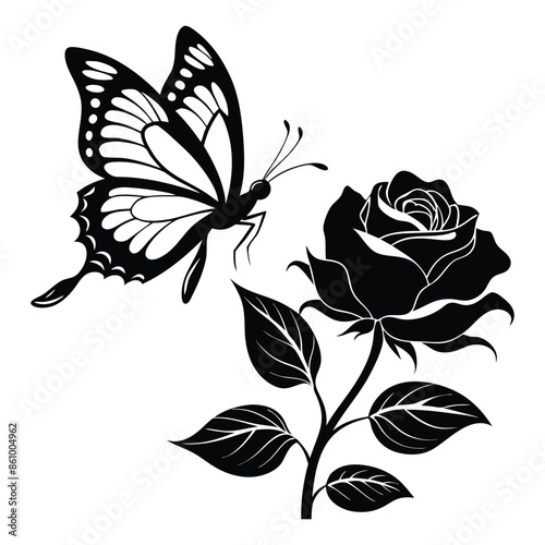 butterfly delicately landing blooming rose black and white vector file