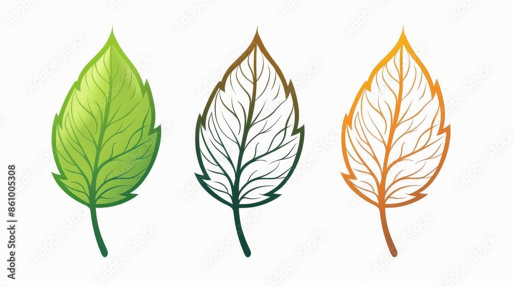 Fototapeta premium Vector leaf illustration, editable stroke, customizable colors, providing flexibility for design modifications, clean and modern