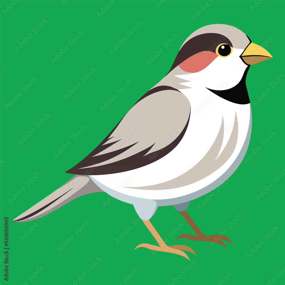 Obraz premium sparrow birds color style white illustrator file eps