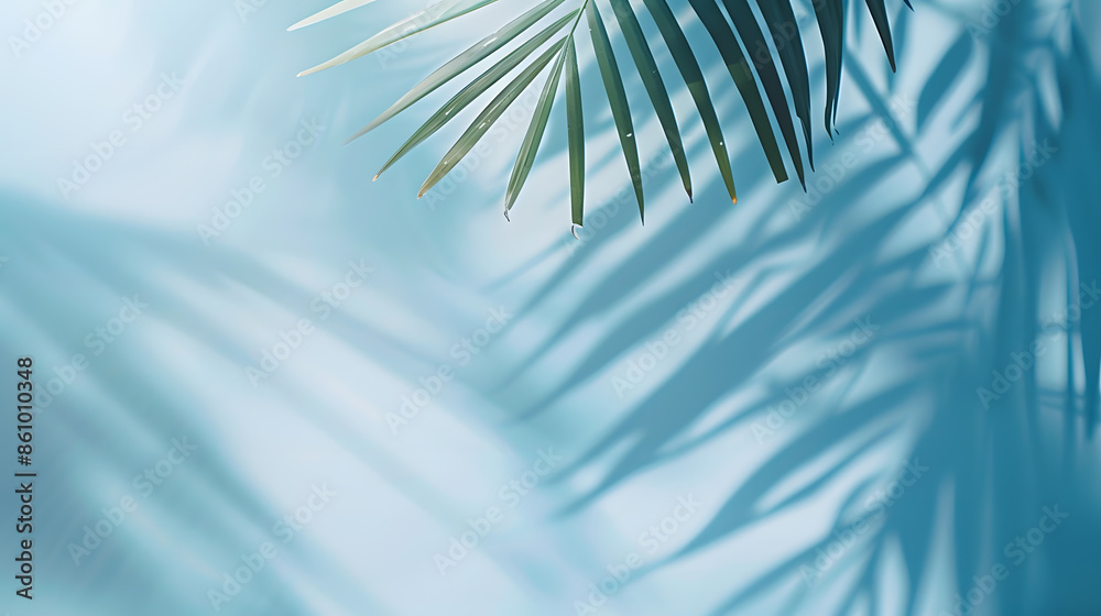 Obraz premium Blurred shadow from palm leaves on the light blue wall Minimal abstract background for product presentation Spring and summer : Generative AI