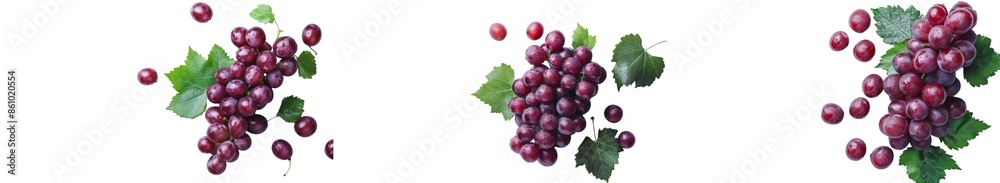 Collection of red grapes with leaves on transparent or white background Collection of red grapes with leaves on transparent or white background