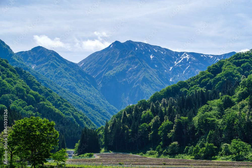 Fototapeta premium 越後駒ヶ岳と川