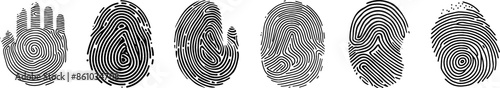 fingerprint vector set. identity biometric system. Security id verification human. Vector fingerprint collection.
