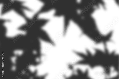 Leaf shadow overlay effect. Background with tropical leaves shadows photo