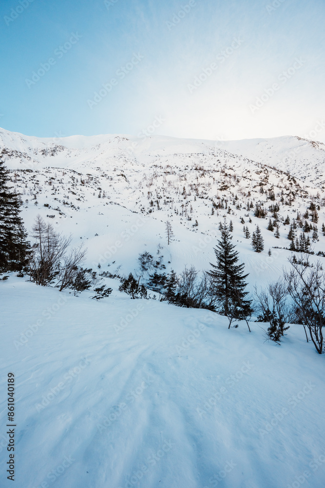 Alpine mountains landscape with white snow and blue sky. Frosty trees under warm sunlight. Wonderful wintry landscape High Tatras, slovakia Alpine mountains landscape with white snow and blue sky. Frosty trees under warm sunlight. Wonderful wintry landscape High Tatras, slovakia