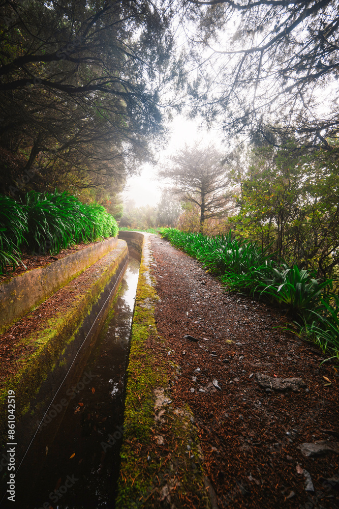 Magical misty green forest with waterfalls in Levada do Norte, Madeira island, Portugal. PR17 Pinaculo e Folhadal Magical misty green forest with waterfalls in Levada do Norte, Madeira island, Portugal. PR17 Pinaculo e Folhadal
