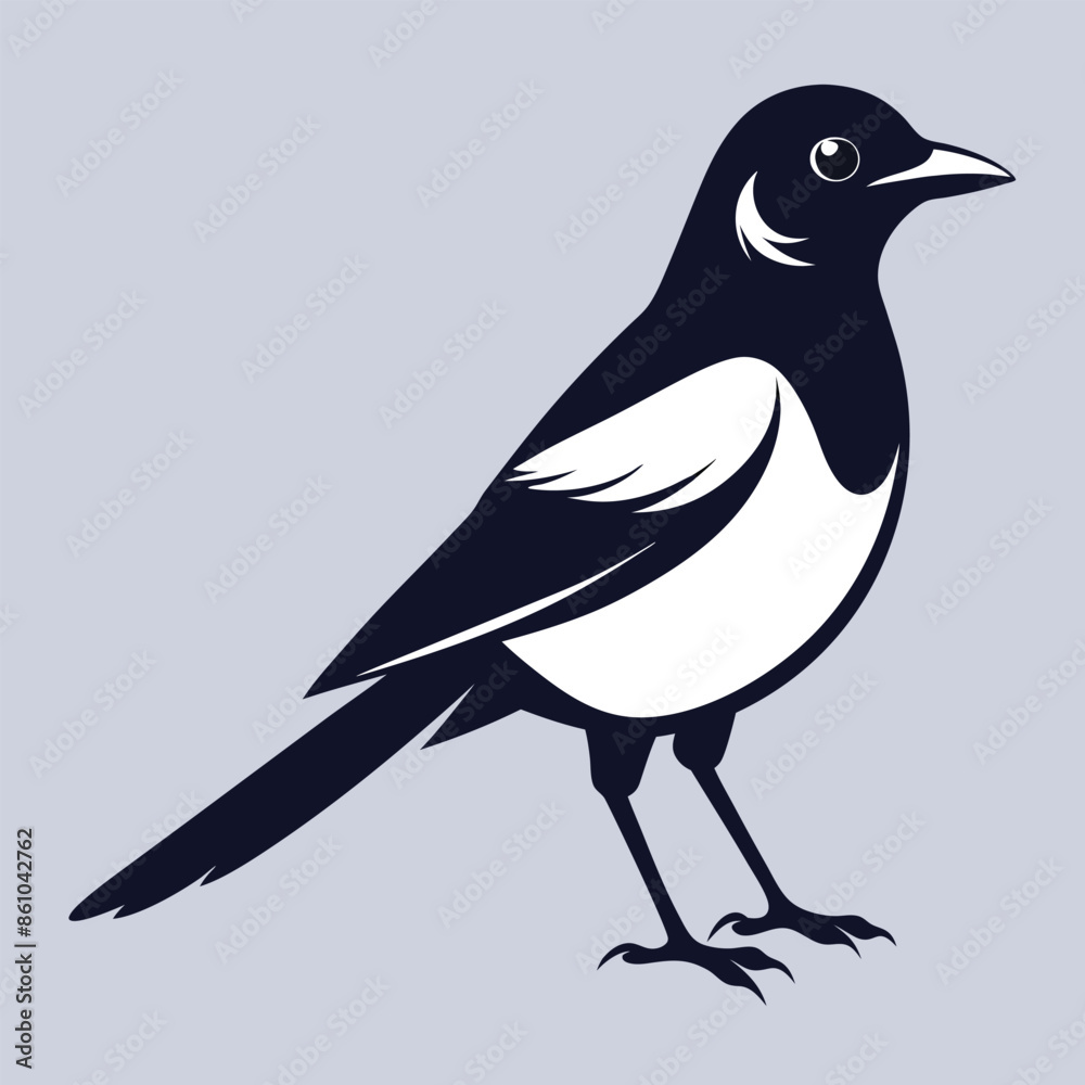 Magpie bird black and white Silhouette Art. Oriental magpie robin bird design on white background. Easy editable layered illustration. Wild Animals. Magpie bird black and white Silhouette Art. Oriental magpie robin bird design on white background. Easy editable layered illustration. Wild Animals.