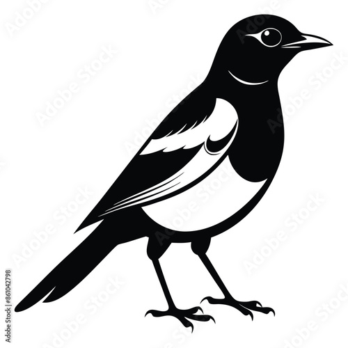 Magpie bird black and white Silhouette Art. Oriental magpie robin bird design on white background. Easy editable layered illustration. Wild Animals. photo