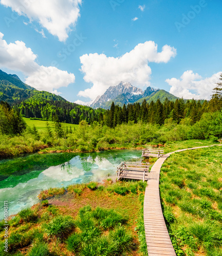 Nature Reserve Zelenci, krajnska gora, Slovenia, Europe. Wonderful morning view of Zelenci nature reserve. Slovenia travel. photo