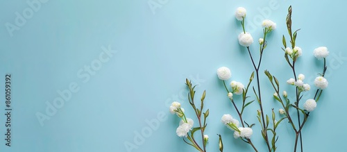 Beautiful spring flowers on...