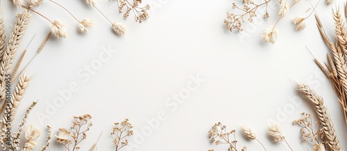 frame set isolated on white...