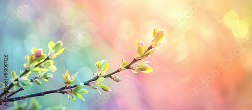 New spring leveas on twig as new life pastel background. with copy space image. Place for adding text or design