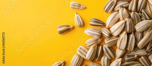 healthy sunflower seeds tex...