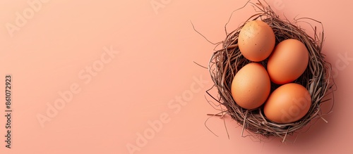 Two brown chicken eggs in a nest on a pastel background. with copy space image. Place for adding text or design