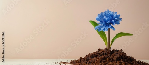 Blue flower with green leaf...