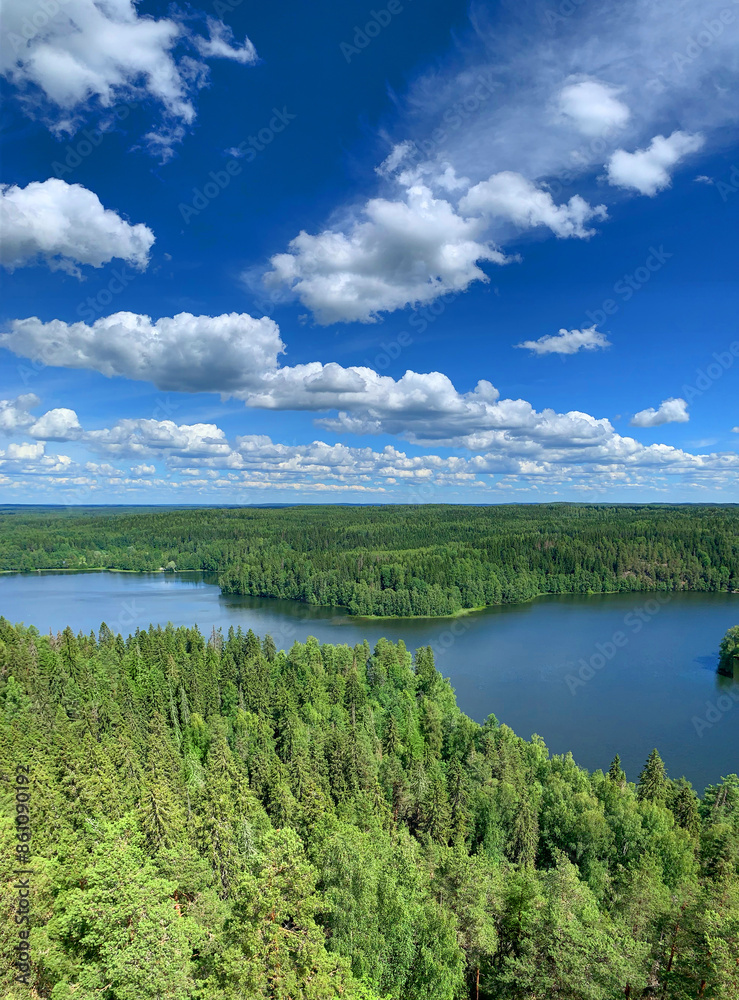 Fototapeta premium Forest lake scenery with blue water and sky with white clouds
