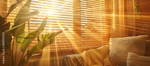 closed window with jalousie, blind at the summer. window frame, sun rays and bright sunlight.  living room. empty copy space.
