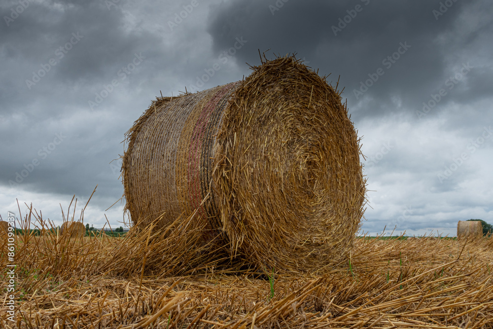 Hay bales