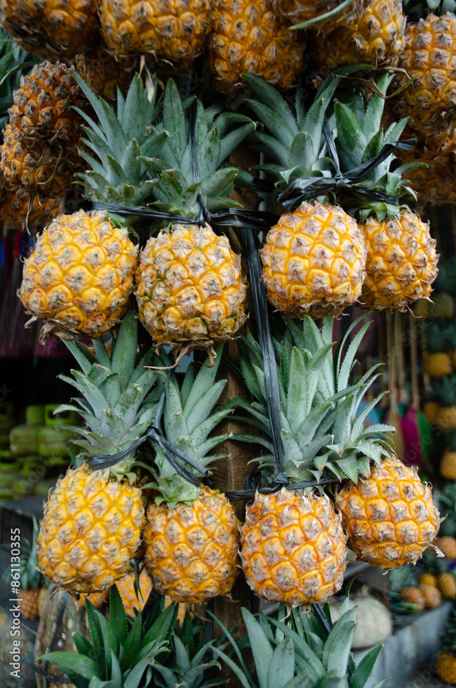 Fresh pineapple fruit commodities at the fruit market, fresh fruit from farmers, pineaplle isolated for background Fresh pineapple fruit commodities at the fruit market, fresh fruit from farmers, pineaplle isolated for background