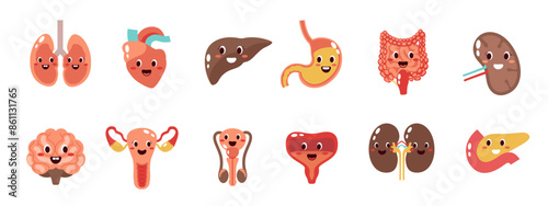 Set of cartoon organs. Lungs, kidneys, stomach, brain, heart, skin in a flat illustration